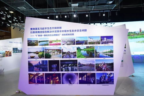 清水綠岸，魚翔淺底 北排尚水文化公司以藝術創意展臺亮相南寧園博園，擘畫城市發展新圖景